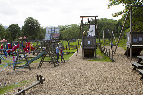 1 - Bowland Wild Boar Animal Park